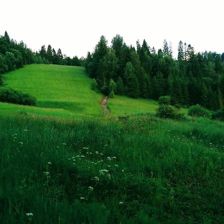 Domek W Gorach Pod Rysianka Zlatna Exterior foto