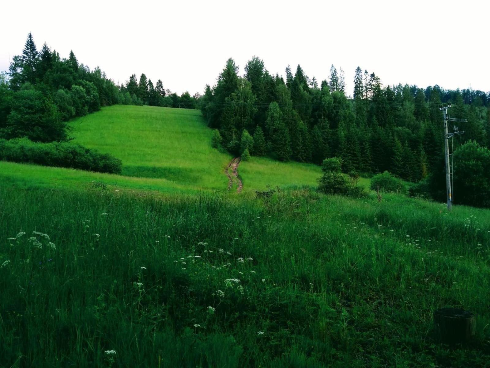 Domek W Gorach Pod Rysianka Zlatna Exterior foto