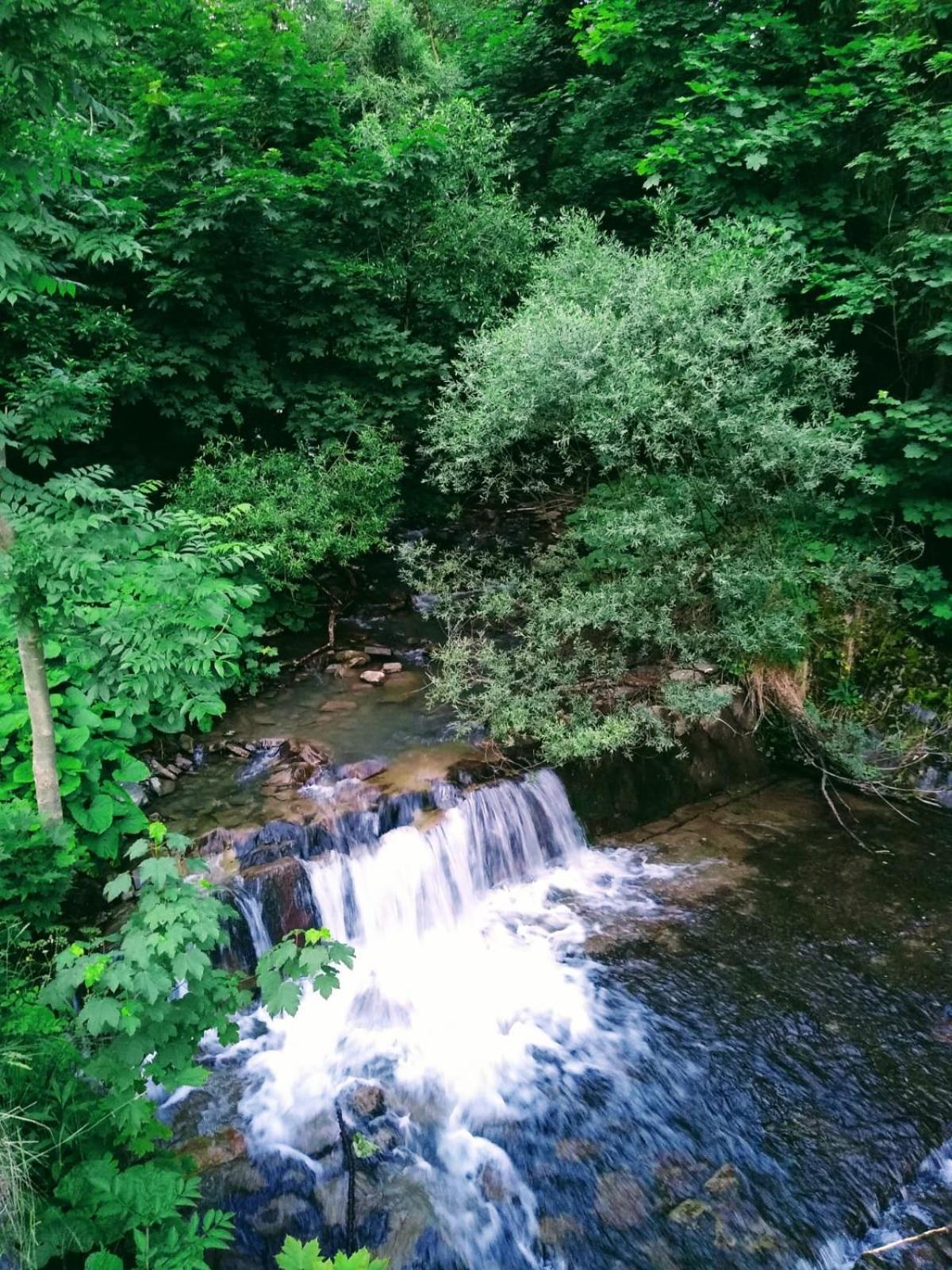 Domek W Gorach Pod Rysianka Zlatna Exterior foto